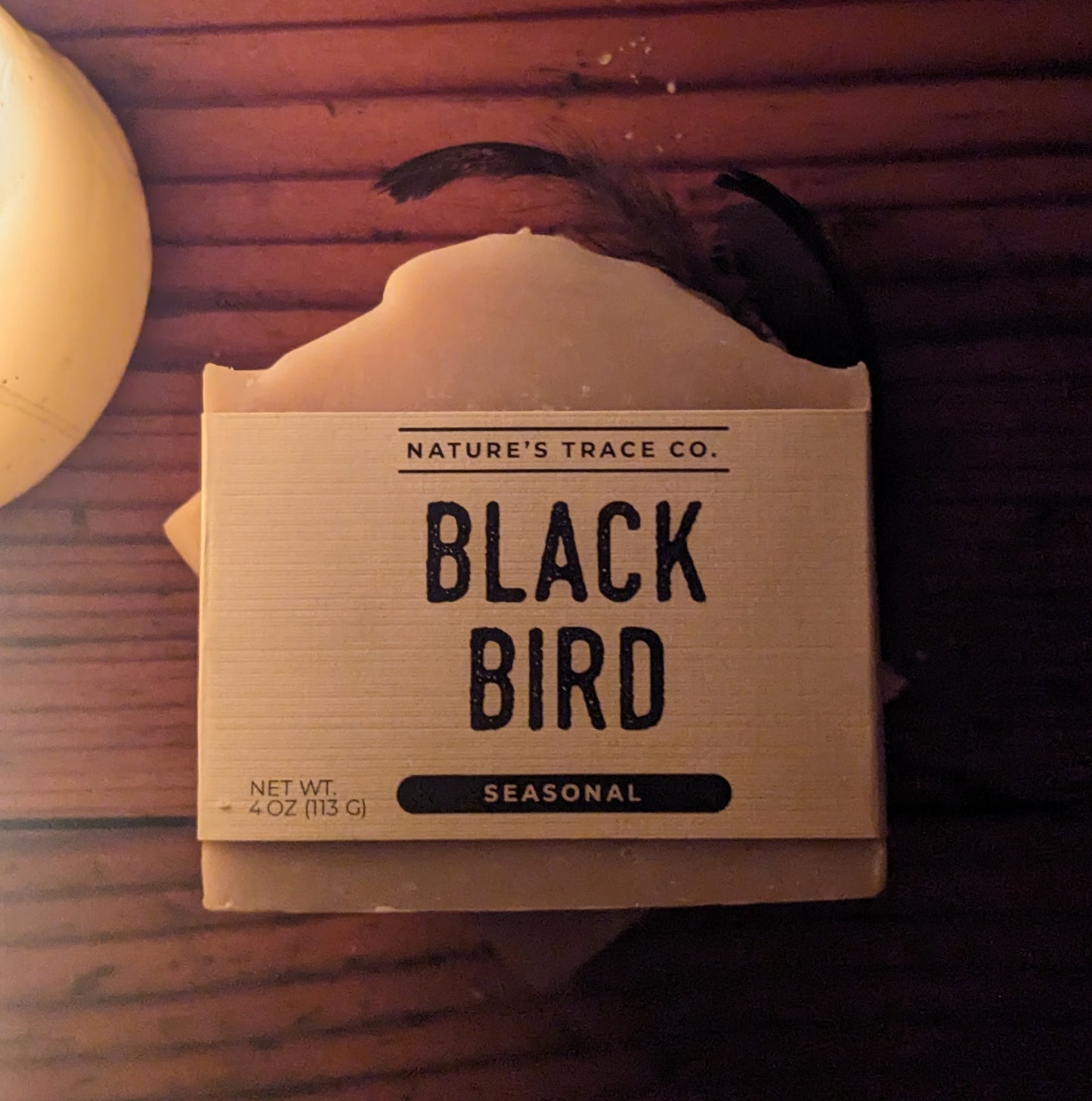 Black Bird