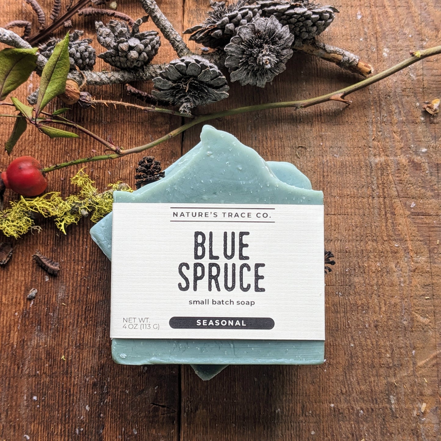 Blue Spruce