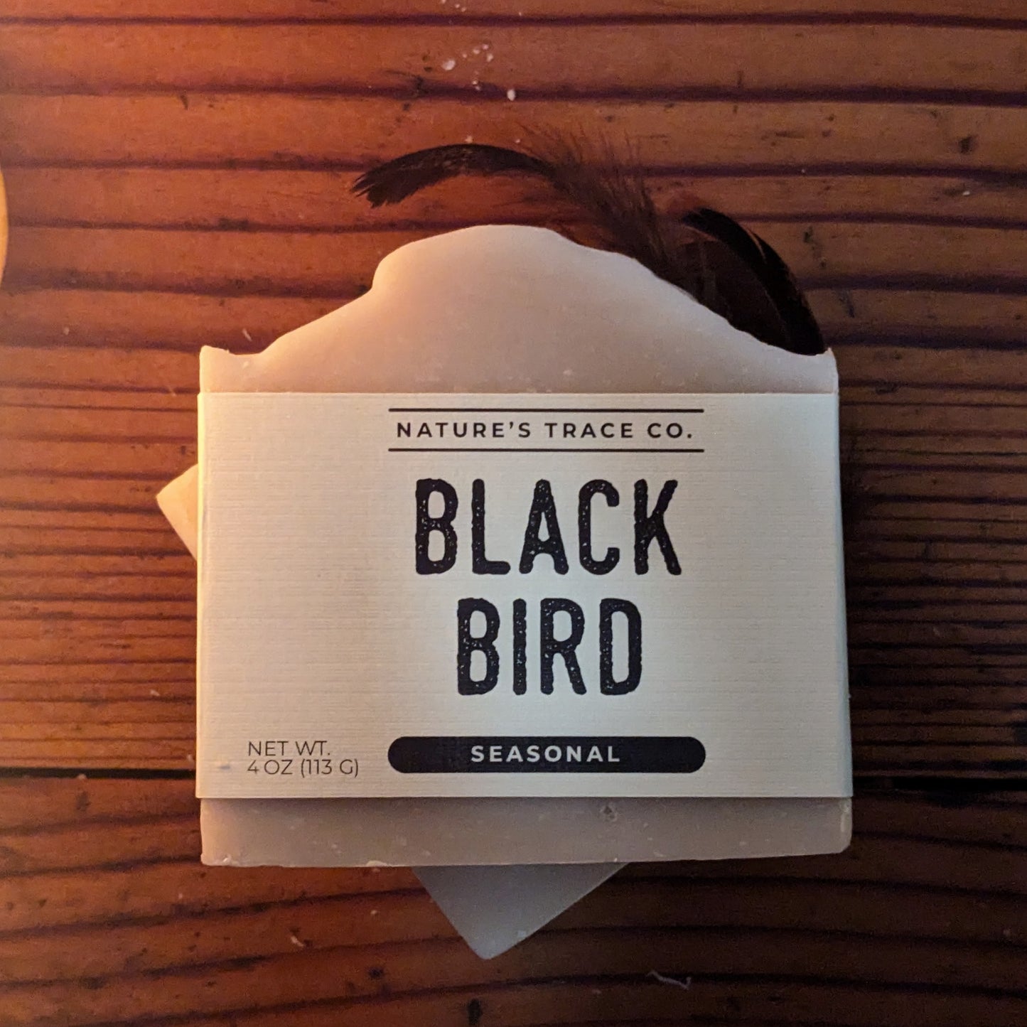 Black Bird